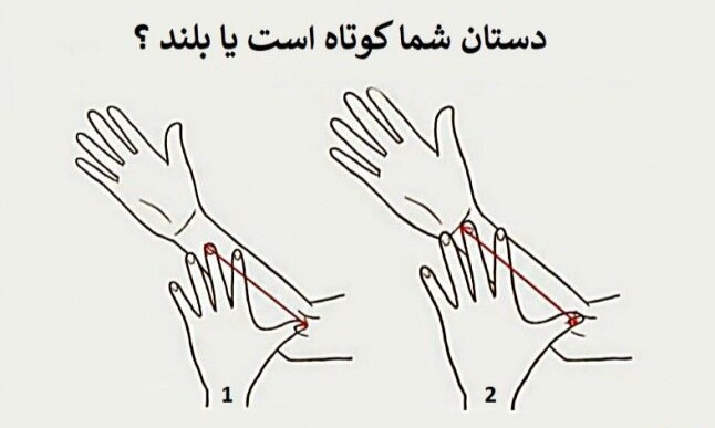 تست شخصیت شناسی