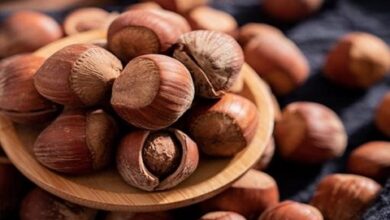 خندان کردن فندق