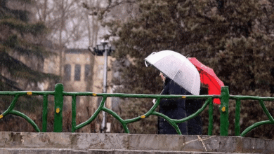 سازمان هواشناسی: تا 10 روز دیگر بارش باران قابل توجهی نخواهیم داشت!