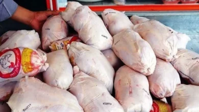 جدول قیمت گوشت مرغ امروز شنبه ۲۵ بهمن ۱۴۰۴