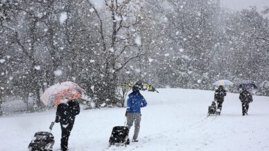 چرا هنگام بارش برف هوا گرم‌تر به نظر می‌رسد؟