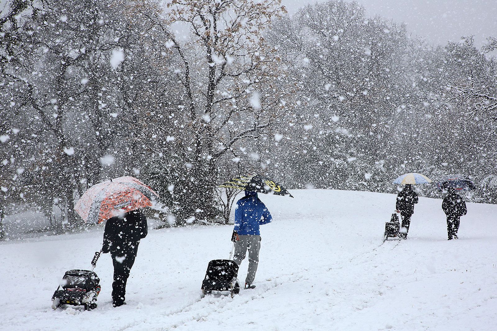 چرا هنگام بارش برف هوا گرم‌تر به نظر می‌رسد؟