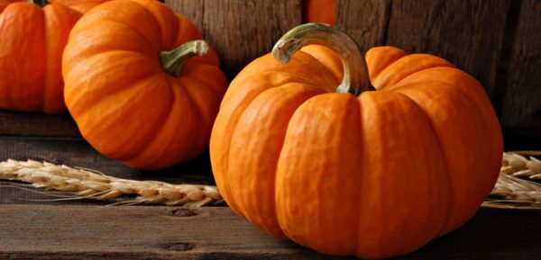 روش تشخیص کدو حلوایی شیرین 