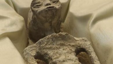 5 سیگنالی که فرازمینی ها به زمین فرستادند