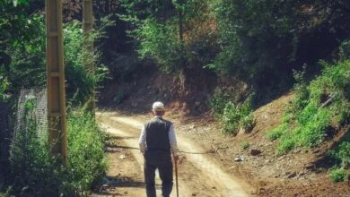 راز عمر طولانی روستایی ها