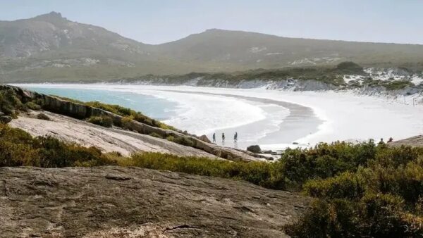 پیدا شدن نامه یک سرباز کشته شده بعد از 109 سال در بطری!