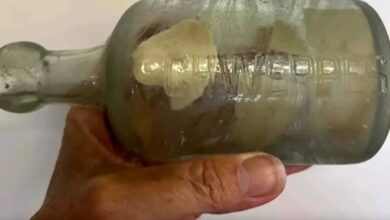 پیدا شدن نامه یک سرباز کشته شده بعد از 109 سال در بطری!