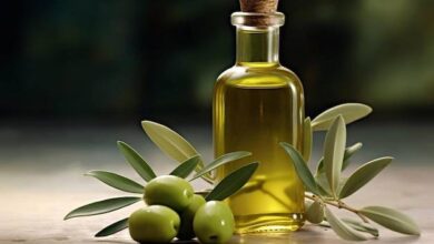 3 روش اصلی برای تشخیص روغن زیتون اصل و با کیفیت