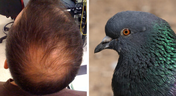 عجیب ترین ترندهای زیبایی