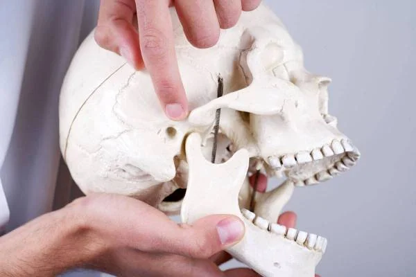 علت صدا دادن فک هنگام غذا خوردن
