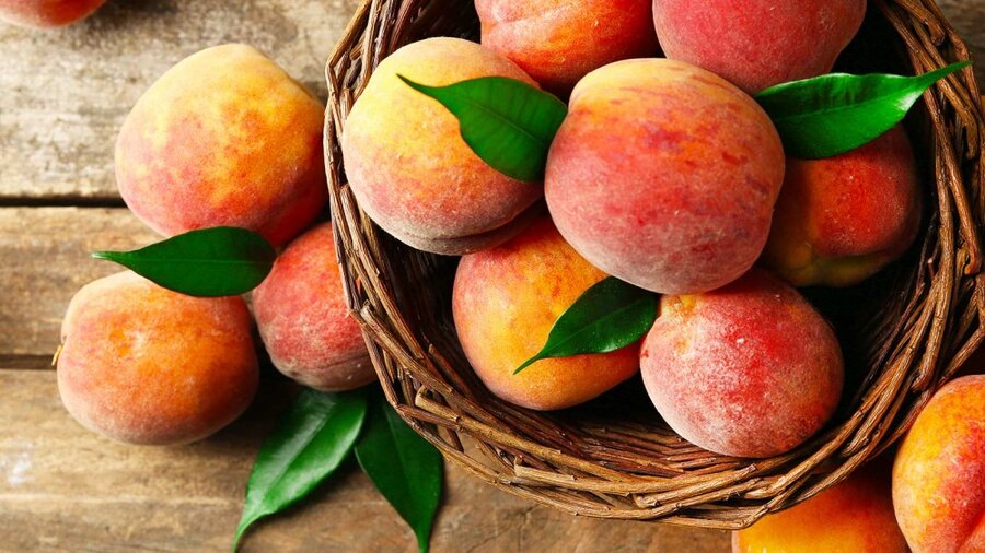 تقویت سیستم ایمنی و سم زدایی بدن