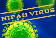 ویروس نیپا چیست و چه علائمی دارد؟