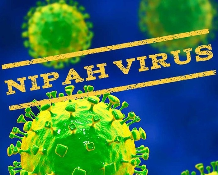 ویروس نیپا چیست و چه علائمی دارد؟