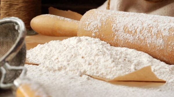 تشخیص پودر کیک فاسد