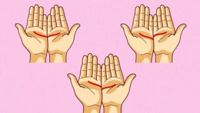 آنچه که خطوط کف دست شما درمورد شخصیتتان می گوید