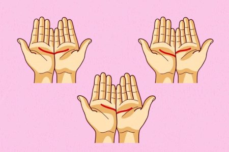 آنچه که خطوط کف دست شما درمورد شخصیتتان می گوید