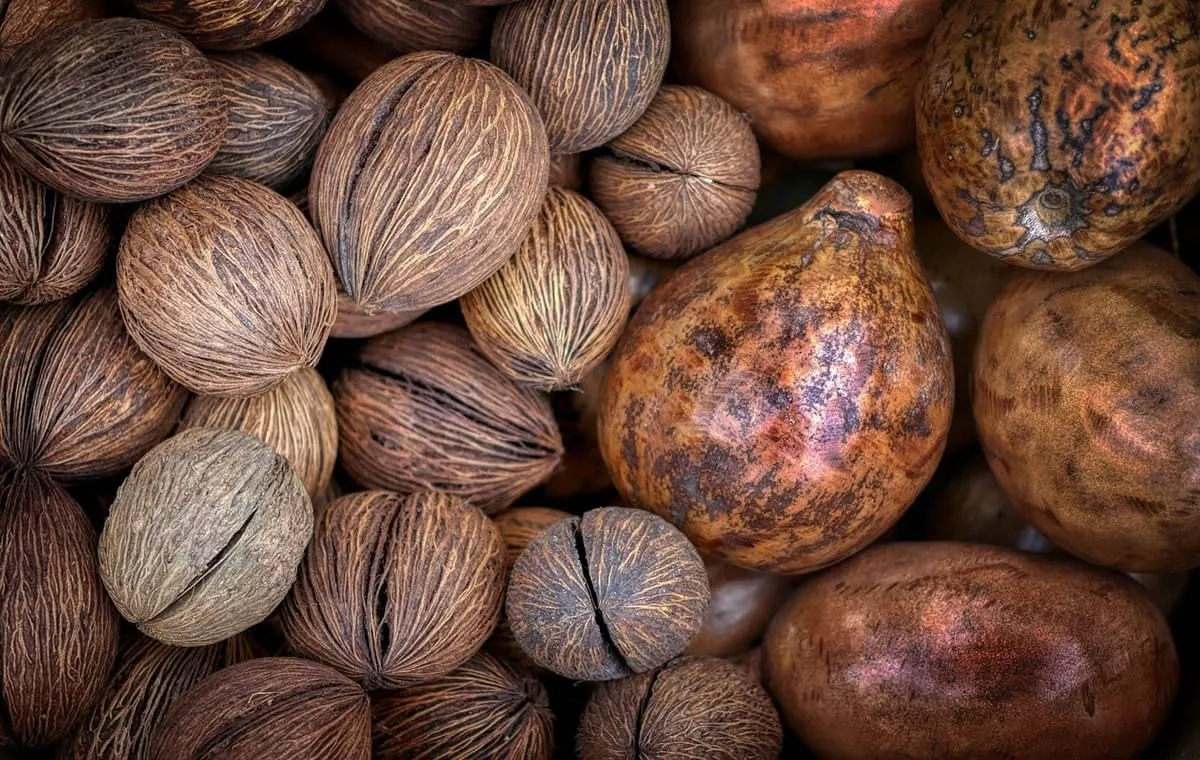 استفاده از جوز هندی در آشپزی