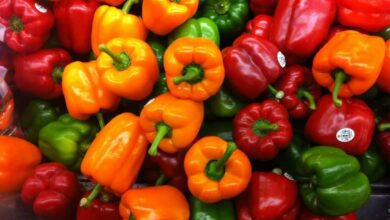 فلفل دلمه نر برای پخت و پز است یا ماده؟