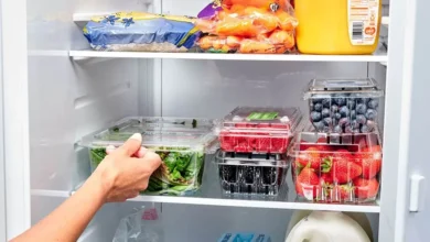 نگهداری مواد غذایی در یخچال هنگام قطعی برق