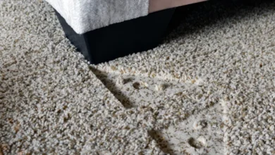 4 ترفند طلایی و کاربردی برای جلوگیری از کوبیدگی فرش