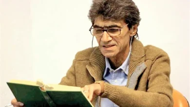 نویسنده ایرانی
