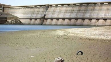 ماجرای پیدا شدن 74 جسد در سد کرج