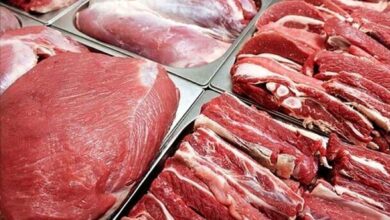 قیمت گوشت قرمز کاهش یافت!