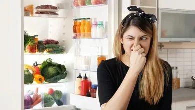 روش طبیعی و مؤثر برای رفع بوی بد یخچال